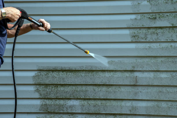 Best Roof Washing  in Taylor, PA